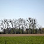 Random image: DSCN1770 (2)