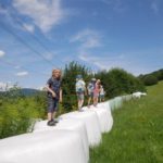 Random image: P1210101