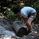 Random image: DSCF3311