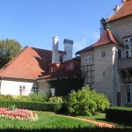 Random image: IMG_6115