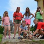 Random image: DSC_0093