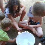 Random image: 20200806_172426