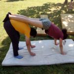 Random image: IMG_20200806_112830