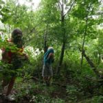 Random image: P1200227