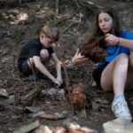 Random image: DSCF2631